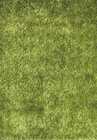 Zelený kusový koberec Lilou